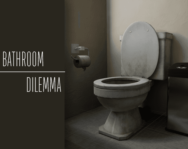 The Bathroom Dilemma cover art